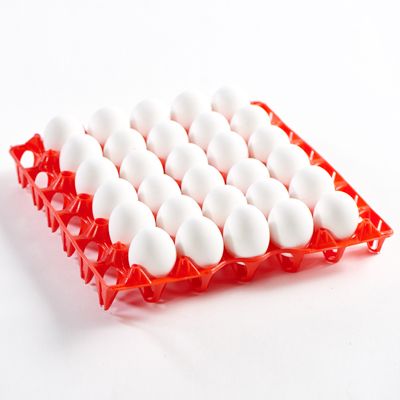 תבנית ביצים 29.4X29.4 ס"מ גובה 5 ס"מ פלסטיק אדום – 30 ביחידה